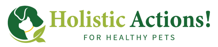 Holistic Actions Logo