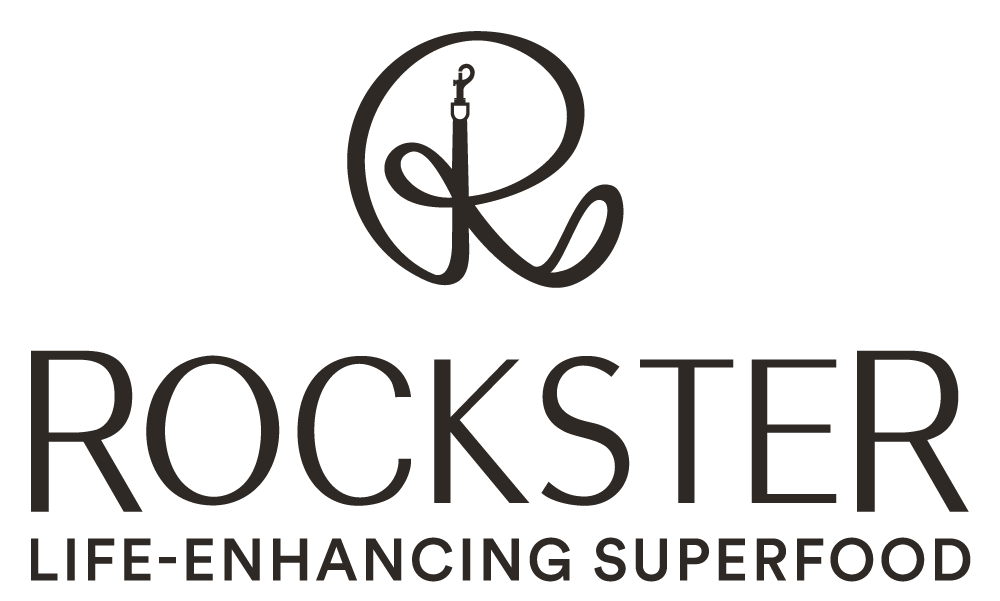 rockster-logo